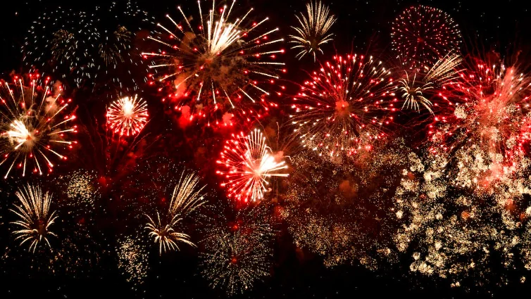 Botti di Capodanno, ecco i dieci consigli per difendere gli animali dal panico